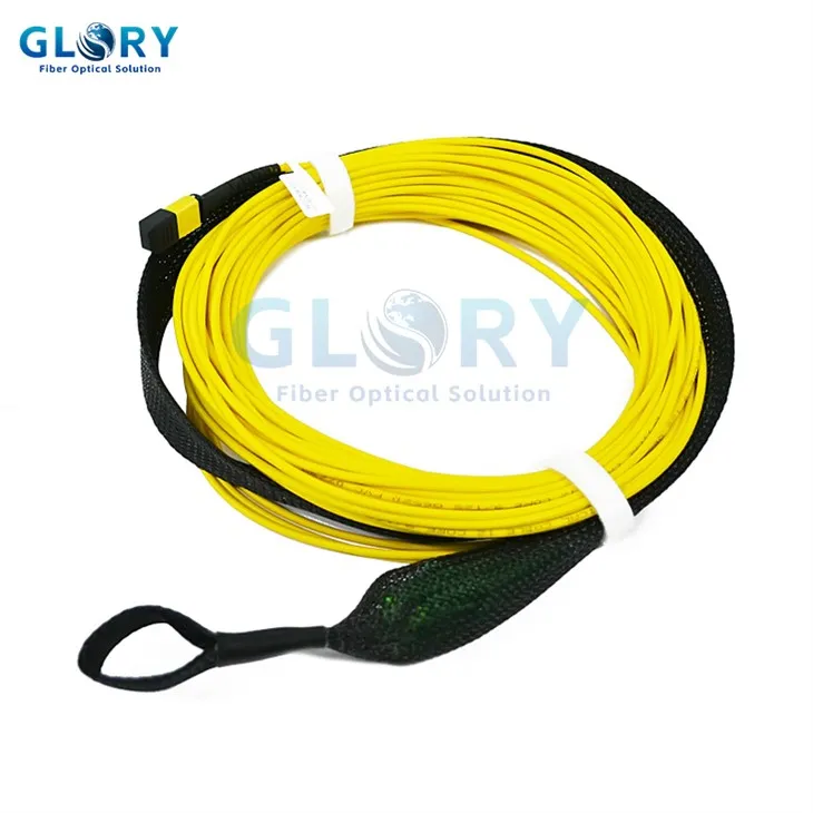 Mpo Mtp Cable